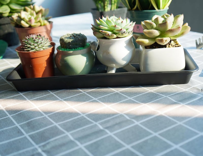 VUWEZ 2 Pack of Plastic Plant Tray Saucer Rectangular 16 inch, Plant Trays Saucers for Indoors Outdoor, Plant Water Drip Tray for Flower Pot Planter, Windowsill Plant Tray (7.0 X 16.1'', Black) - Image 3